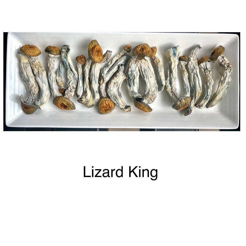 lizard king 1