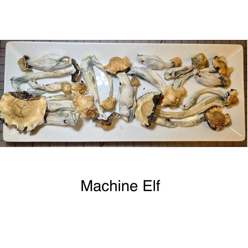 machine elf 1