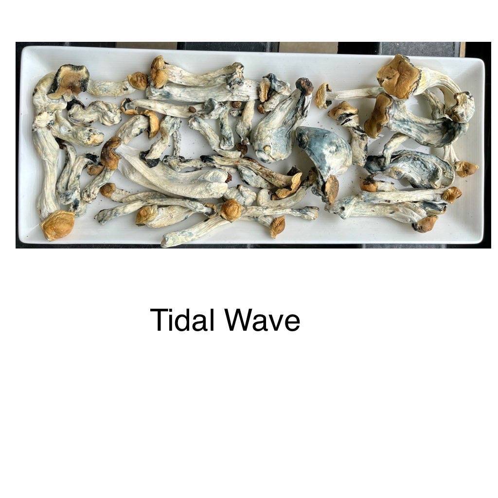 tidal wave 1