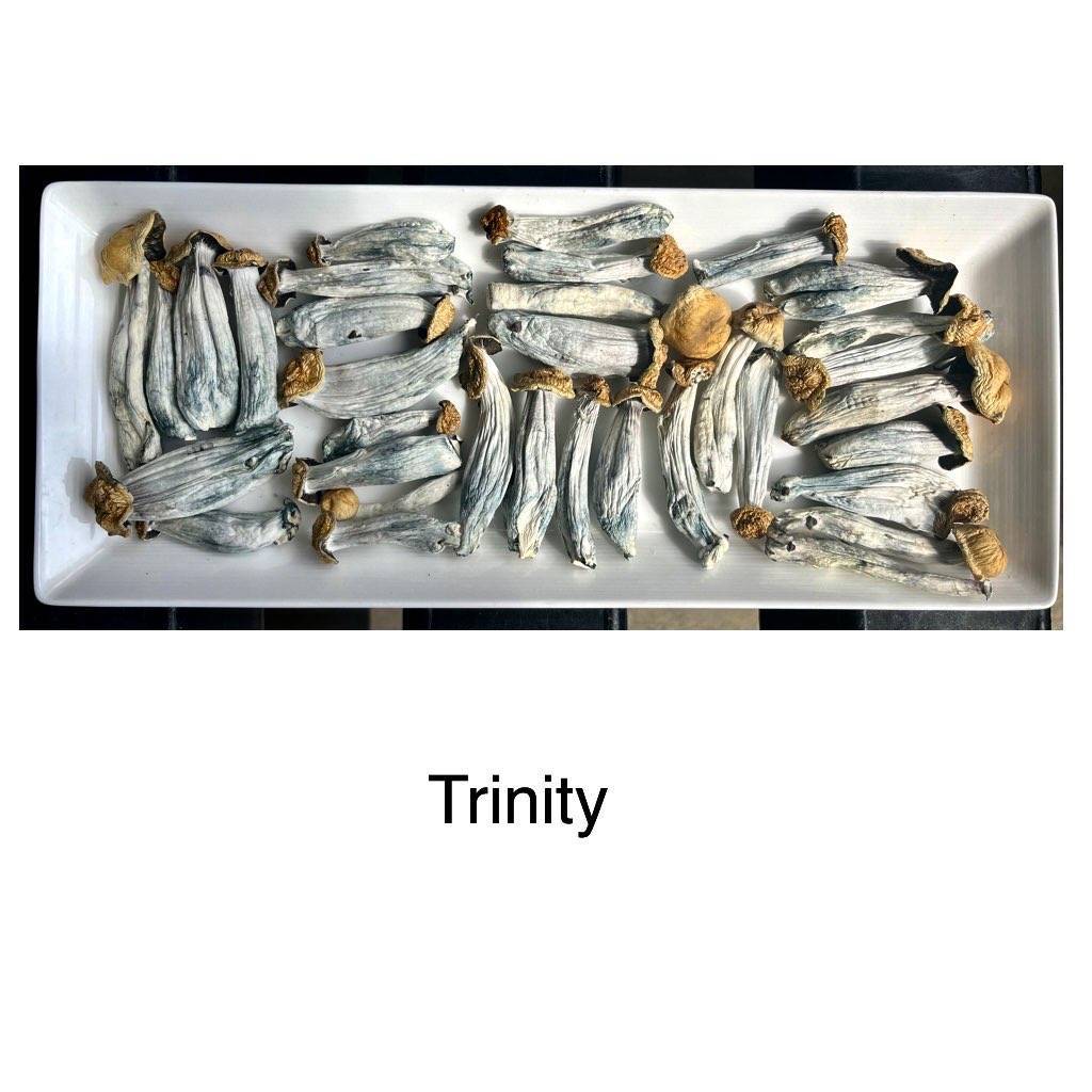trinity 1