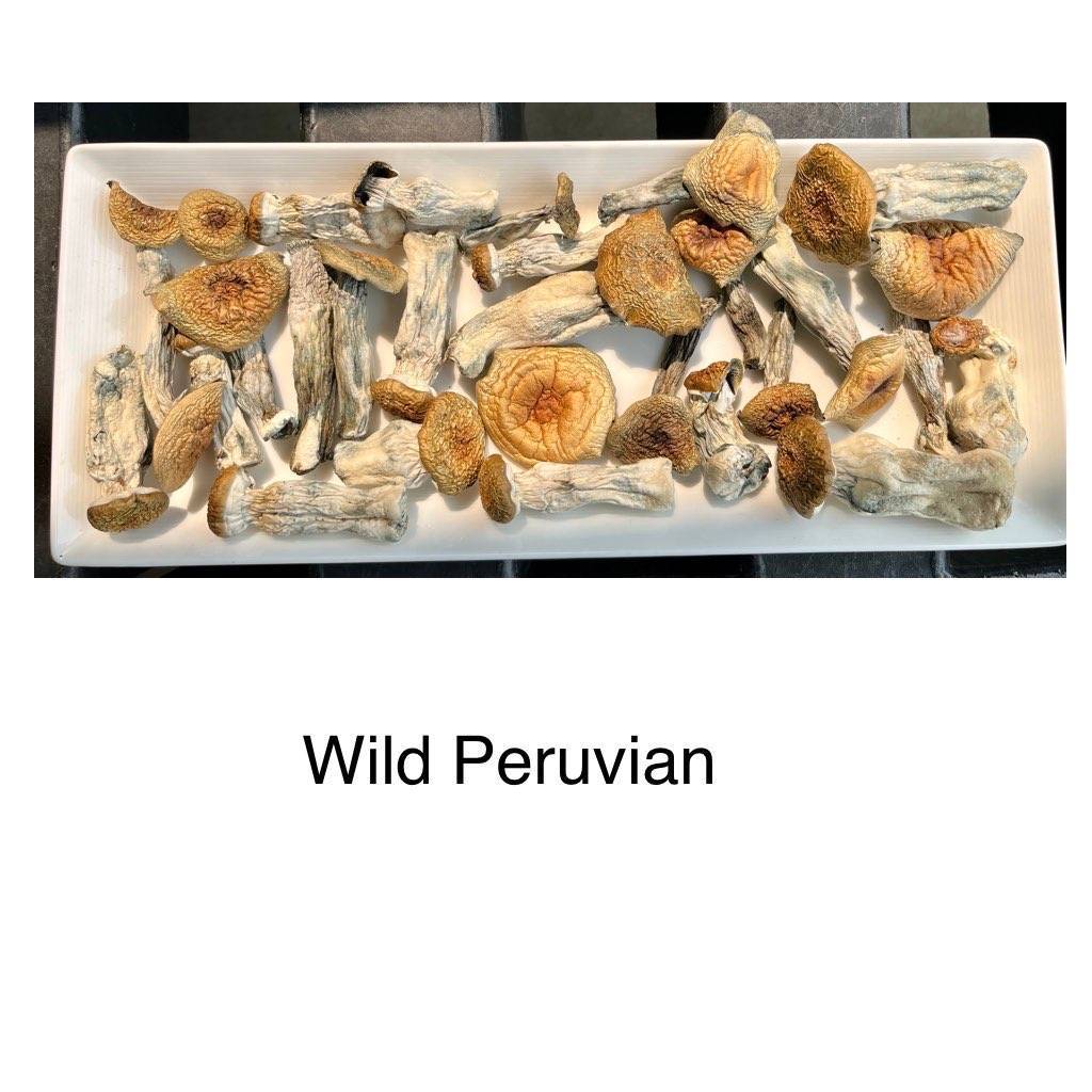 wild peruvian 1